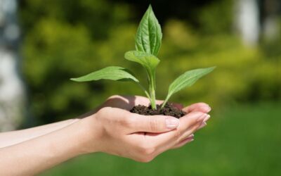El agro colombiano registra un crecimiento excepcional del 8 %, superando su promedio histórico