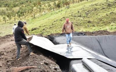 FAO impulsa el desarrollo rural en América Latina y el Caribe a través de cooperativas e inversión estratégica