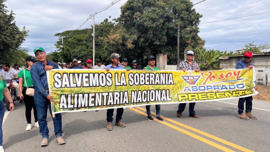 Gobierno y Comité Nacional de Paro Arrocero instalarán mesa de diálogo este jueves