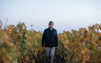 Don Melchor, elegido Vino del Año, consolida su presencia en Colombia