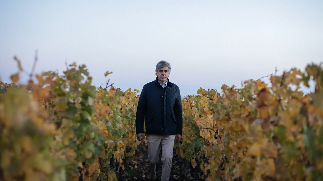 Don Melchor, elegido Vino del Año, consolida su presencia en Colombia