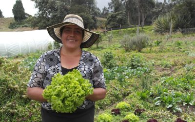 Un sistema agroalimentario más justo y conectado: la apuesta del proyecto Aliméntate de Región en Bogotá-Cundinamarca