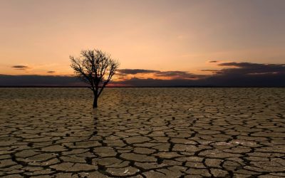 El ritmo del calentamiento global se acelera: Colombia enfrenta 88 días de calor extremo en un año