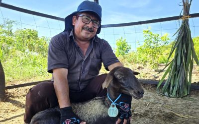Zambrano impulsa la paz desde el campo: 100 familias reactivan la economía rural con apoyo de FAO y ART