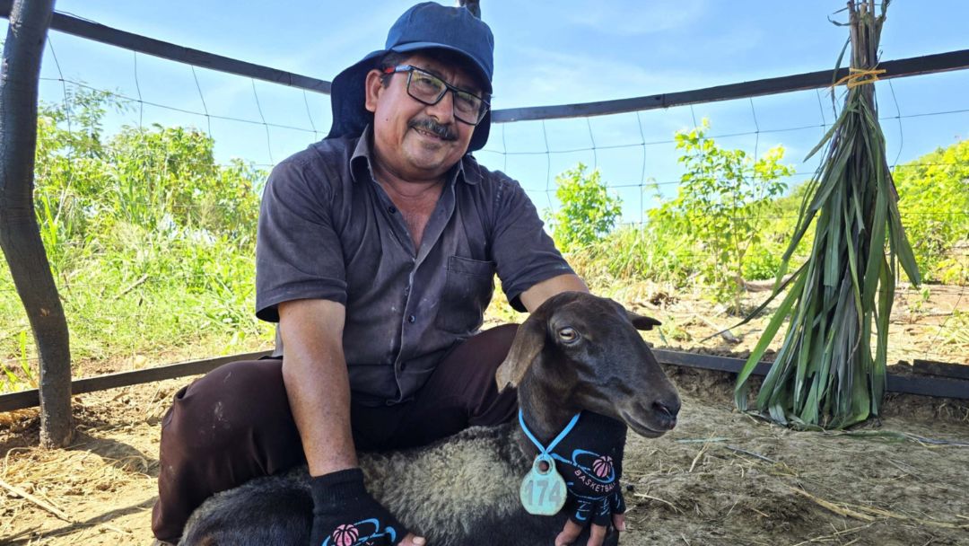 Zambrano impulsa la paz desde el campo: 100 familias reactivan la economía rural con apoyo de FAO y ART