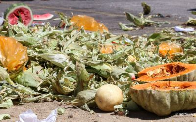 “Aliméntate de Región”: alianza contra el desperdicio de comida en Bogotá y Cundinamarca
