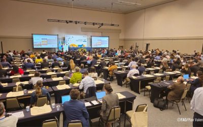Influenza aviar: diálogo mundial reunió a expertos para enfrentar una amenaza creciente