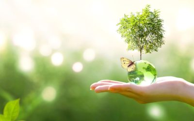 Colombia recicla solo el 16,9 % de sus residuos y el transporte aporta el 16 % de las emisiones de efecto invernadero: Herbalife responde con innovación y movilidad eléctrica