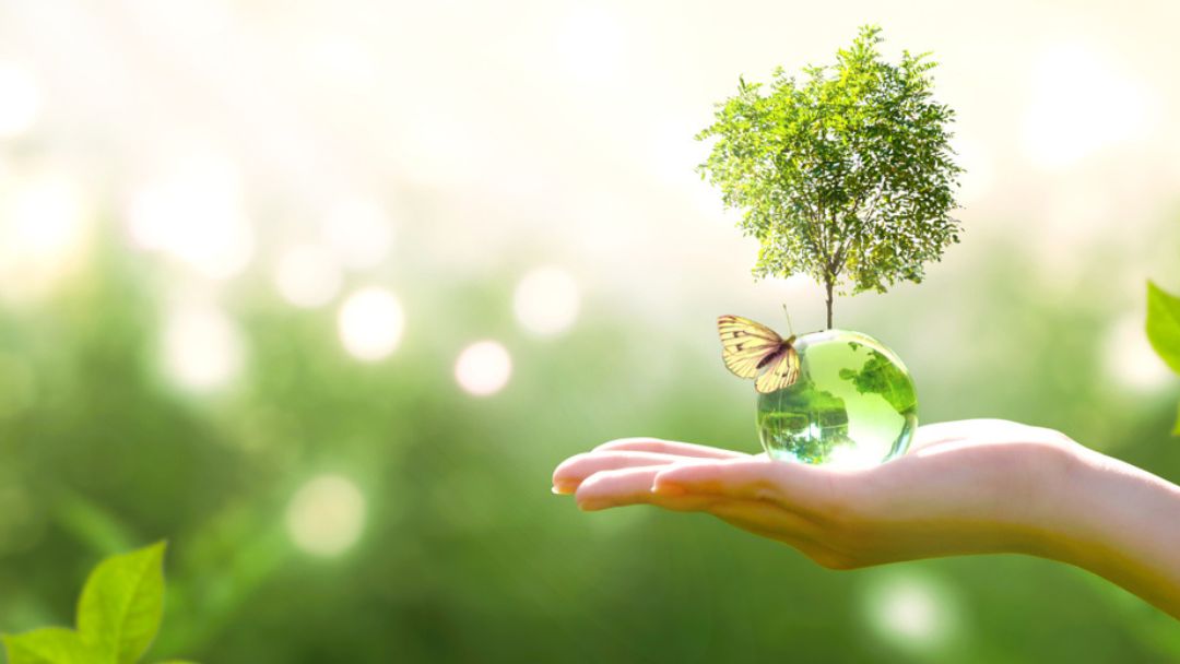 Colombia recicla solo el 16,9 % de sus residuos y el transporte aporta el 16 % de las emisiones de efecto invernadero: Herbalife responde con innovación y movilidad eléctrica