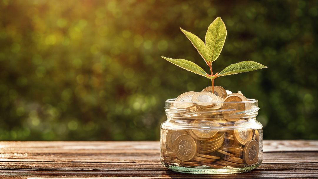 IMAGENES DE LA WEB (4)