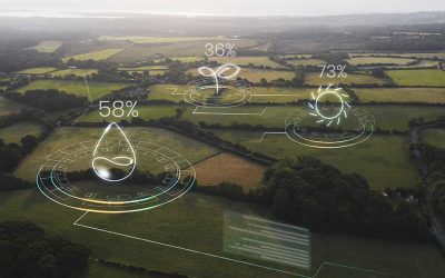 Hacia el futuro verde: Xerox revela sus avances climáticos y tecnológicos en su Informe 2025