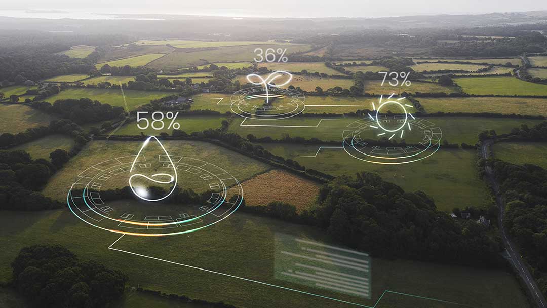 Hacia el futuro verde: Xerox revela sus avances climáticos y tecnológicos en su Informe 2025