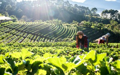 Economía de la Mutualidad: el modelo que propone unir rentabilidad, propósito y sostenibilidad empresarial