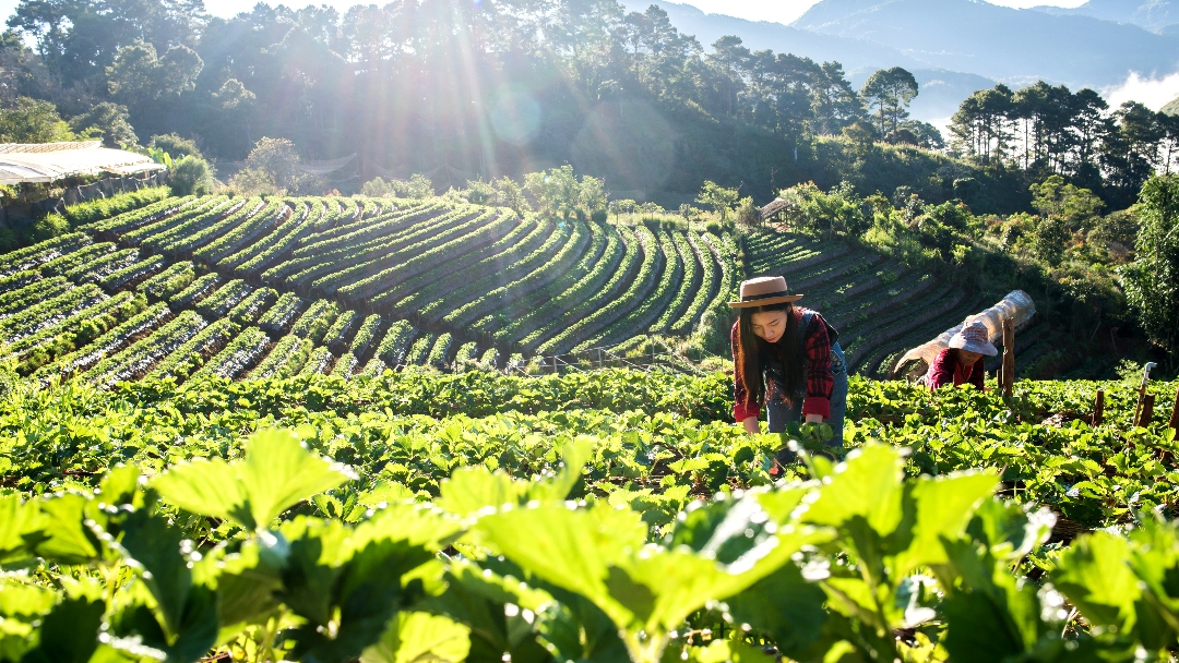 Economía de la Mutualidad: el modelo que propone unir rentabilidad, propósito y sostenibilidad empresarial