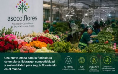 Laura Valdivieso asume la presidencia de Asocolflores en un momento clave para la competitividad del sector