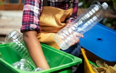 Bolsas plásticas: el reto para el comercio ya no es solo reemplazarlas, sino rediseñar el consumo