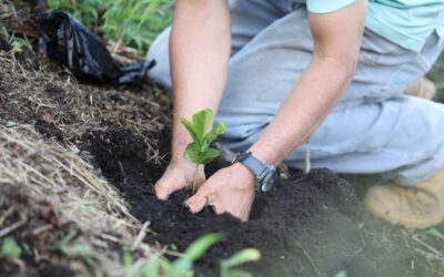 Nestlé reduce a la mitad sus emisiones y refuerza su apuesta sostenible