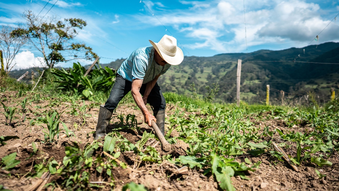 El Niño amenaza el bolsillo: inflación y tasas de interés bajo presión